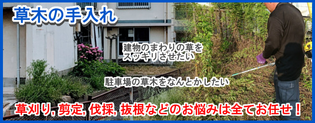 「駐車場の草木をなんとかしたい」「管理している敷地の草刈りをお願いしたい」“除草作業、木の伐採や剪定など何でもお任せください！”