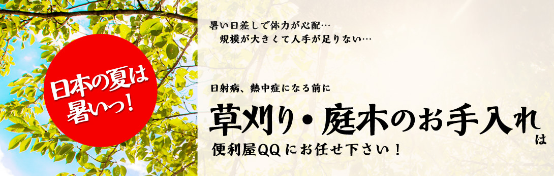 草刈り・庭木のお手入れは便利屋QQにお任せ下さい！